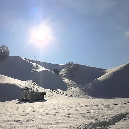 Am Wiesinger Bichl * Wiesing